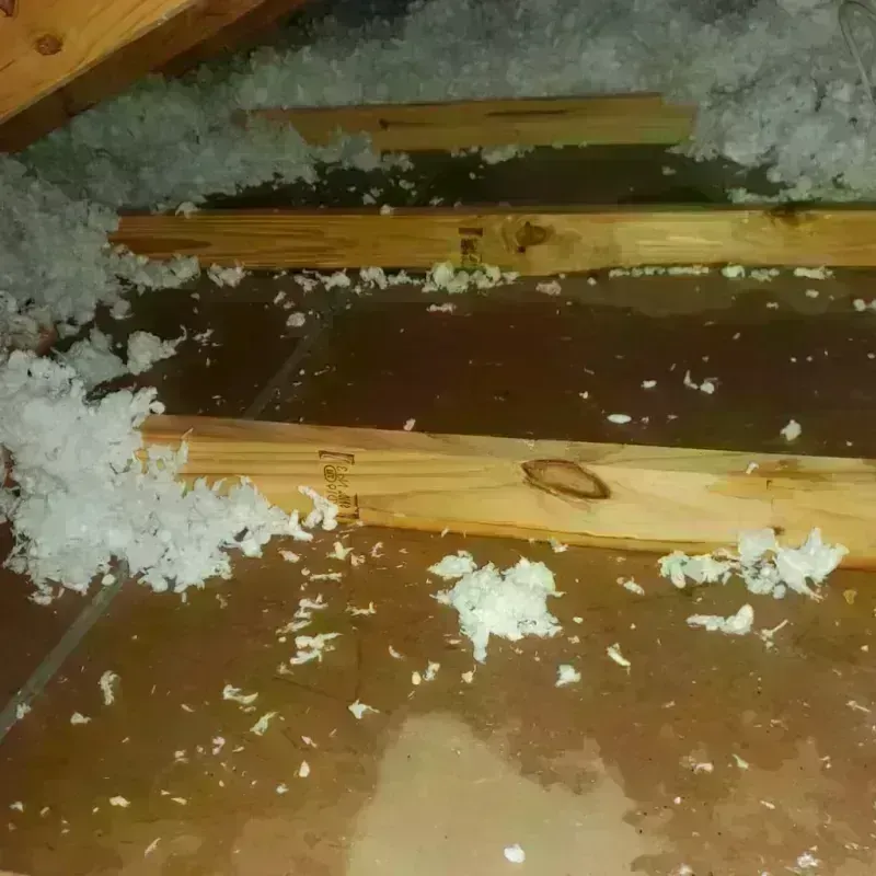 Attic Water Damage in Bohners Lake, WI