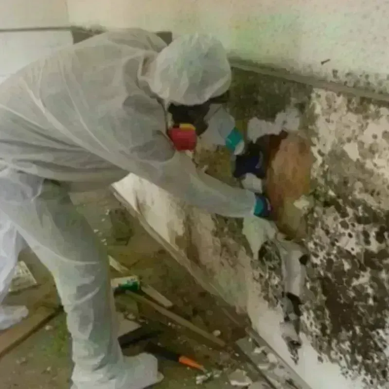 Mold Remediation and Removal in Bohners Lake, WI